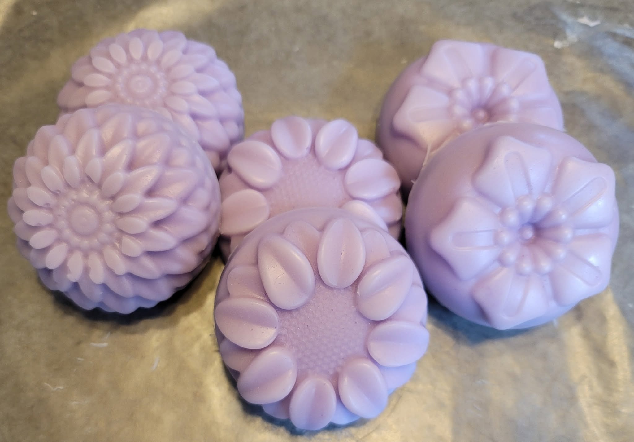 Shampoo and Conditioner Bars